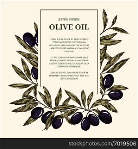 Hand drawn olive oil label vector template with place for text