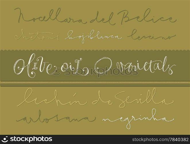 Hand-drawn olive oil varieties text and illustrations. EPS vector file. Hi res JPEG included.
