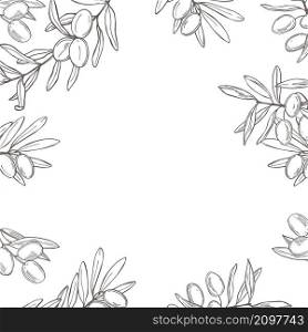Hand drawn olive. Vector background. Sketch illustration.. Vector white background with olive