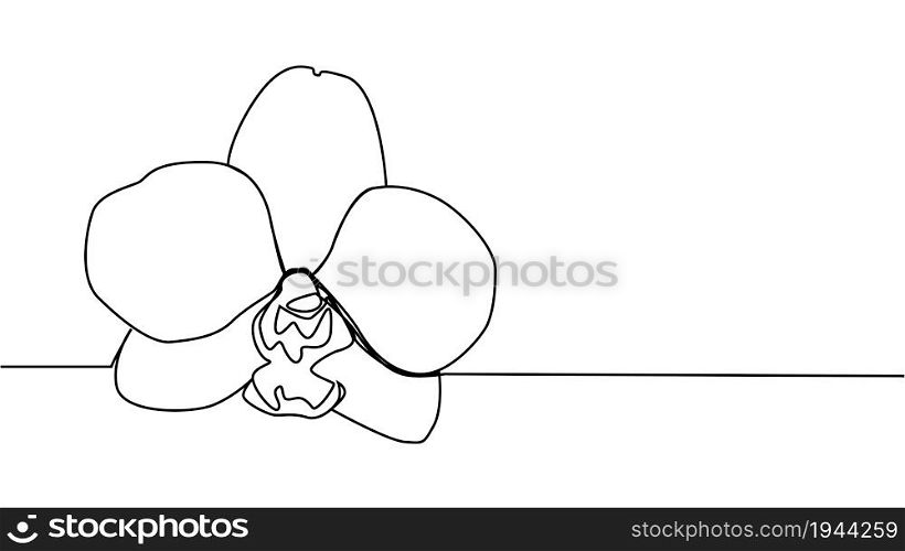 Hand drawn orchid flowers. One line drawing. Minimalist art. Hand drawn orchid flowers. One line drawing. Minimalist art.
