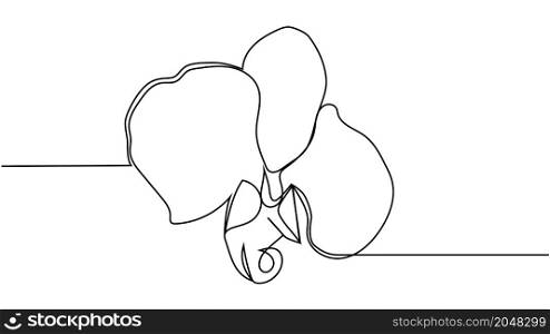 Hand drawn orchid flowers. One line drawing. Minimalist art. Hand drawn orchid flowers. One line drawing. Minimalist art.