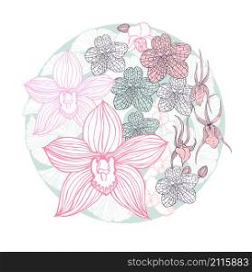 Hand drawn orchids in a circle. Vector sketch illustration. Hand drawn orchids.