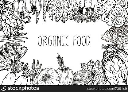 Hand drawn organic food background. Organic herbs, spices and seafood. Healthy food drawings set elements for menu design. Vector illustration.