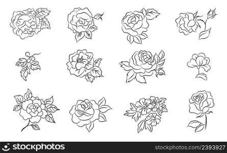 Hand drawn outline flowers. Flower roses, peony daisy plant and leaves. Sketch drawing botanical elements, nowaday garden bouquets vector set. Outline floral rose flowers. Hand drawn outline flowers. Flower roses, peony daisy plant and leaves. Sketch drawing botanical elements, nowaday garden bouquets vector set