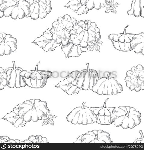 Hand drawn pattypan squash or patisson on white background.Vector seamless pattern. . Hand drawn vegetables. Pattypan squash.