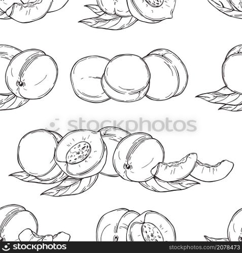 Hand drawn peaches on white background. Vector seamless pattern. . Peach on white background. Vector illustration.