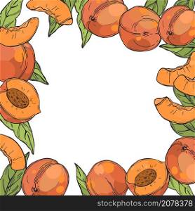 Hand drawn peaches. Vector background.. Vector background with peaches.