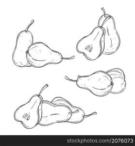 Hand drawn pears on white background. Vector sketch illustration.. Hand drawn pears. Vector illustration.