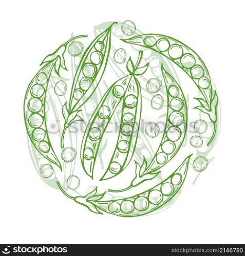 Hand drawn peas in a circle. Vector sketch; illustration.