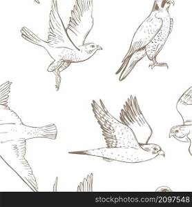 Hand drawn peregrine falcon. Vector seamless pattern. Vector pattern with peregrine falcon