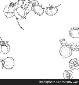 Hand drawn persimmon. Vector background. Sketch illustration.. Background with hand drawn persimmon.