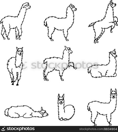 Hand drawn peru animal guanaco alpaca vicuna vector image