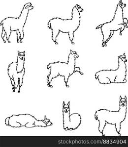Hand drawn peru animal guanaco alpaca vicuna vector image