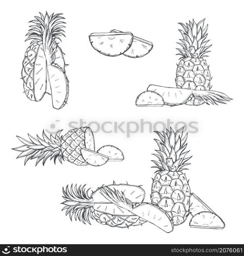 Hand drawn pineapple on white background.Vector sketch illustration.. Pineapple. Vector illustration