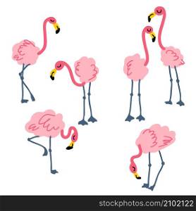 Hand drawn pink flamingo collection. Perfect for T-shirt, poster, stickers and print. Doodle vector illustration for decor and design.