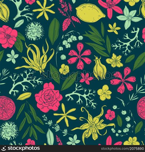 Hand drawn plants and flowers for perfumery.Vector seamless pattern. . Plants and flowers for perfumery.Vector floral pattern.
