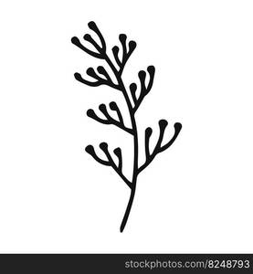 Hand drawn plants outline. Floral and leave element. Line art style isolated on white background.