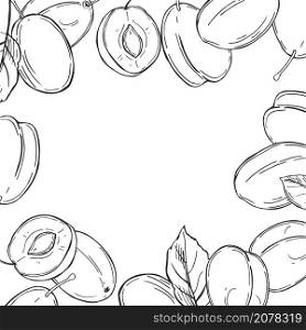 Hand drawn plums. Vector background. Sketch illustration.. Vector background with plums.