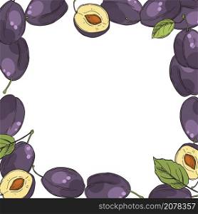 Hand drawn plums. Vector background. Sketch illustration.. Vector background with plums.