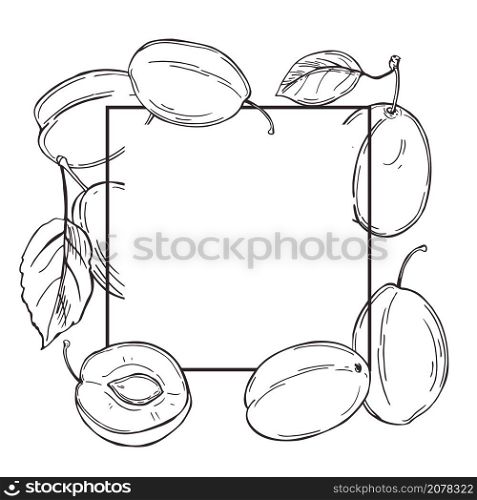 Hand drawn plums. Vector frame. Sketch illustration.. Vector frame with plums.