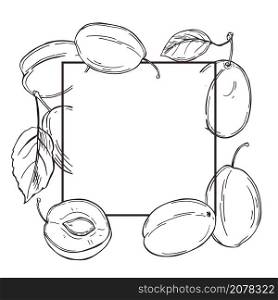 Hand drawn plums. Vector frame. Sketch illustration.. Vector frame with plums.