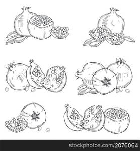 Hand drawn pomegranate on white background. Vector sketch illustration.. Pomegranate. Vector sketch illustration.