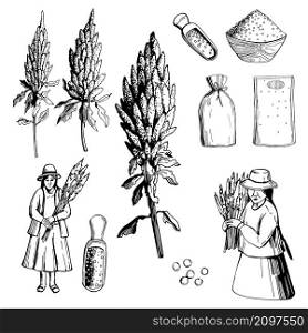 Hand drawn quinoa set.Plants and seeds, peasant women with the harvest. Super food. Vector sketch illustration.. Quinoa set.Plants and seeds. Super food.