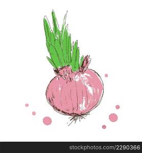 Hand drawn realistic red onion bulb with green leaves. Fresh healthy organic vegan food. Doodle vector illustration for decor and design.