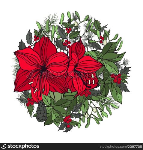 Hand drawn red amaryllis and Christmas plantsin a circle. Sketch illustration.. Red amaryllis and Christmas plantsin a circle.