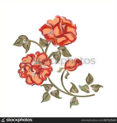 hand drawn red rose