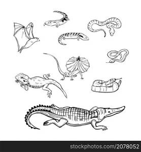 Hand drawn reptiles australia. Snakes, lizards. Vector sketch illustration.. Reptiles australia. Vector illustration.