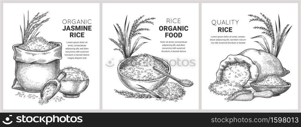 Hand drawn rice label. Retro sketch organic cereal grains in bag and bowl. Farm basmati wild jasmine rice. Vector flour packages concept. Illustration basmati organic rice, nutrition uncooked banner. Hand drawn rice label. Retro sketch organic cereal grains in bag and bowl. Farm basmati and wild jasmine rice. Vector flour packages concept
