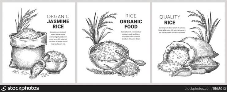 Hand drawn rice label. Retro sketch organic cereal grains in bag and bowl. Farm basmati wild jasmine rice. Vector flour packages concept. Illustration basmati organic rice, nutrition uncooked banner. Hand drawn rice label. Retro sketch organic cereal grains in bag and bowl. Farm basmati and wild jasmine rice. Vector flour packages concept