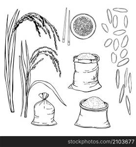 Hand drawn rice set. Vector sketch illustration.. Hand drawn rice set.