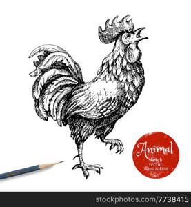 Hand drawn rooster vector illustration. Sketch chicken isolated on white background with pencil and label banner. Symbol of new year 2017