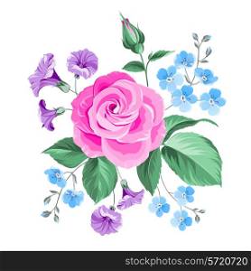 Hand drawn rose isolated over white background. Vector illustration.