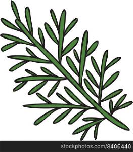 Hand Drawn rosemary leaves illustration in doodle style isolated on background