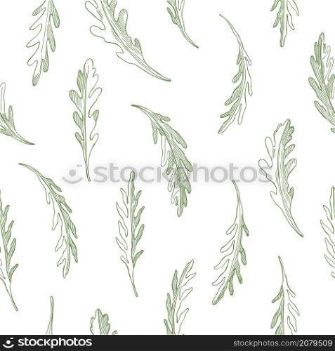 Hand drawn rucola leaves on white background. Vector seamless pattern.
