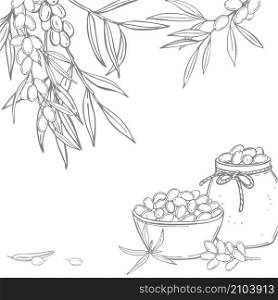 Hand drawn sea buckthorn set. Branches with berries. Jars of sea buckthorn jam. Vector background. Sketch illustration.. Hand drawn sea buckthorn vector background.
