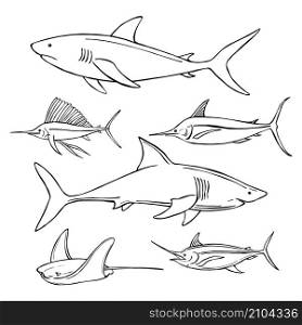 Hand drawn sea fish. Sharks. Vector sketch illustration.. Hand drawn sea fish. Sharks.