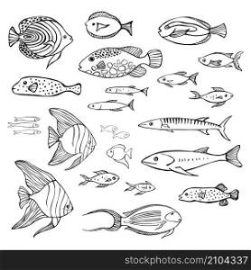 Hand drawn sea fish. Vector sketch illustration.