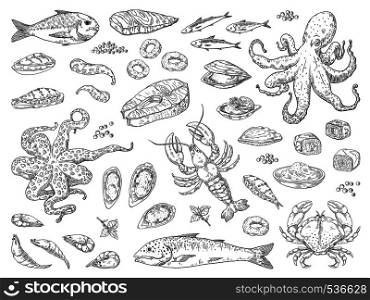 Hand drawn seafood. Octopus squid crab oyster and marine fish sketch drawing for restaurant menu. Vector sea meal engravements. Hand drawn seafood. Octopus squid crab oyster and marine fish sketch drawing for restaurant menu. Vector sea meal