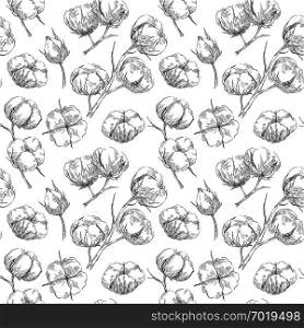Hand drawn seamless pattern with cotton branches in retro sketch style. Botanical eco illustration.