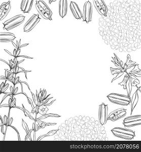 Hand drawn sesame plant. Vector background. Sketch illustration. Sesame plant. Vector background.