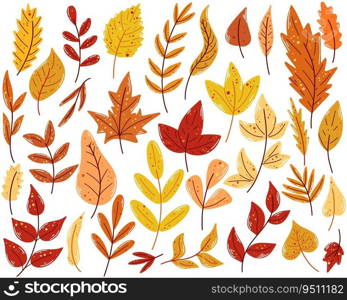 Hand drawn set autumn leaves. Bright colorful collection fall foliage. Leaf of ash, oak, maple, mountain ash, birch and other trees. Seasonal leaf fall, isolated vector illustration. Hand drawn set autumn leaves