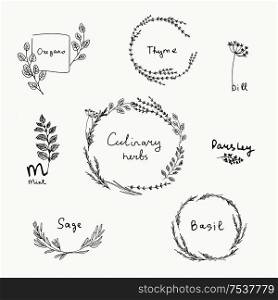 Hand drawn set of culinary herb. Basil and mint, rosemary and sage, thyme and parsley. Food design logo elements. Hand drawn set of culinary herb.