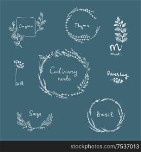 Hand drawn set of culinary herb. Basil, mint, rosemary, sage, thyme, parsley, oregano. Food design logo elements. culinary herbs set