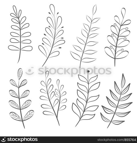 hand drawn set of tree branches, collection of floral elements, stock vector illustration