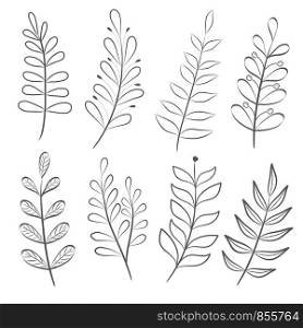 hand drawn set of tree branches, collection of floral elements, stock vector illustration