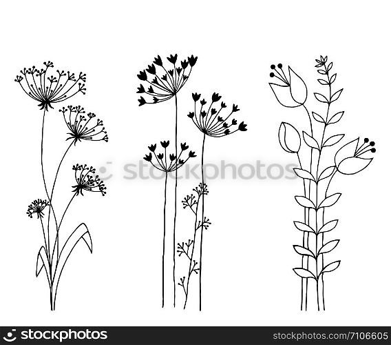 Hand drawn set of wild flowers. Isolated on white background.